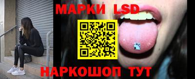 стафф Дубна