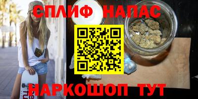 стафф Дубна