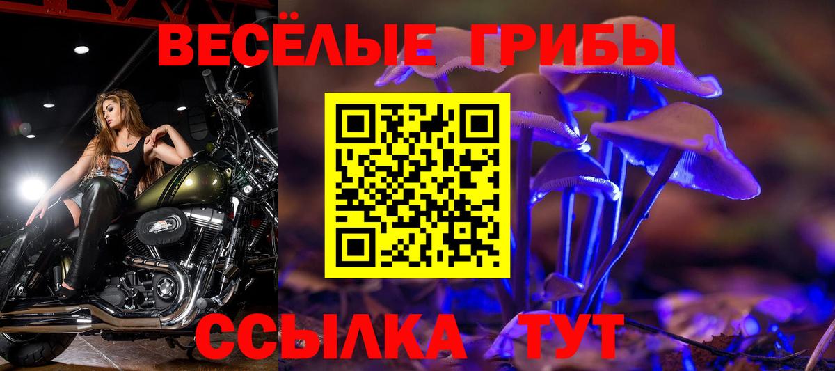 Набережные Челны  Псилоцибиновые грибы мицелий  Вход с VPN 