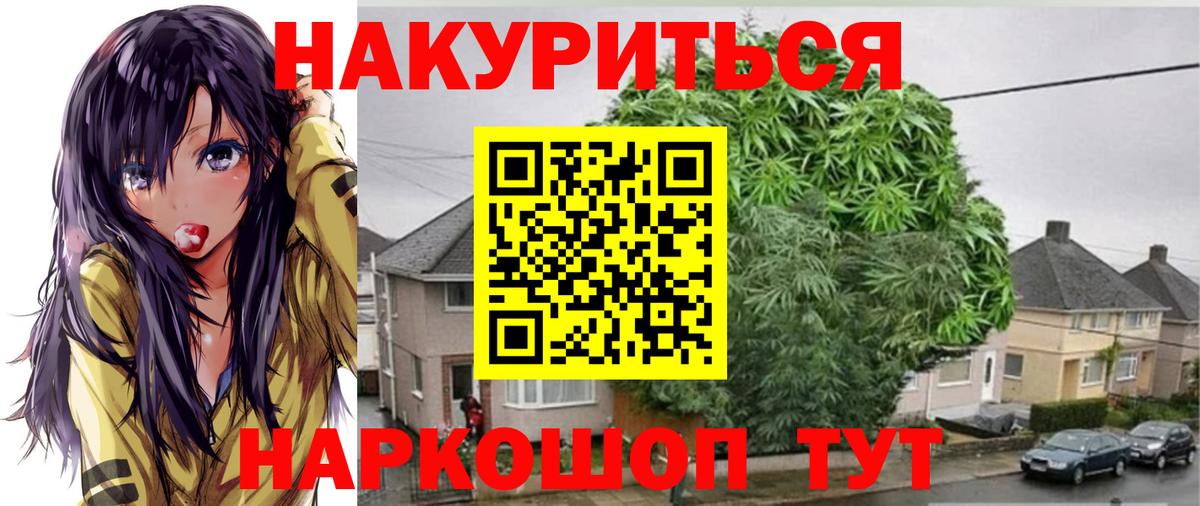 Канабис сатива Набережные Челны